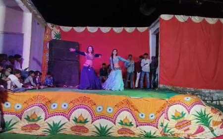 बुरहानपुर के ग्राम बोरी बुजुर्ग से एक वीडियो सोशल मीडिया पर जमकर वायरल हो रहा